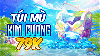 Túi Mù Kim Cương 79K